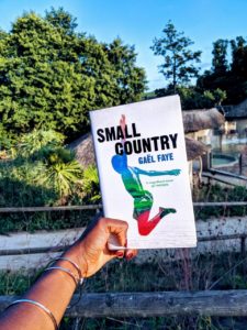 Read more about the article The Call Of Home: Book Review Small Country
